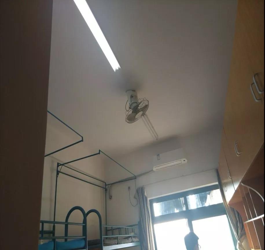 11.jpg 11.jpg